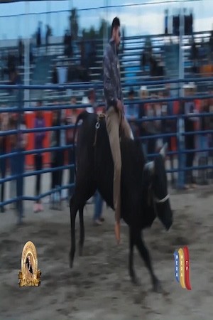 Episodio 7