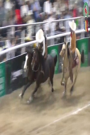 Gran Final De Cha...